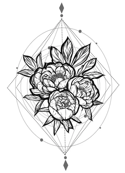 Güzel Peonies illüstrasyon