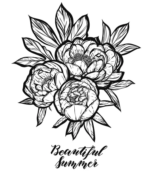 Güzel Peonies illüstrasyon