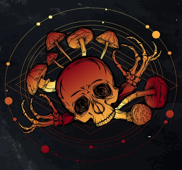 Kafatası, mantar illüstrasyon