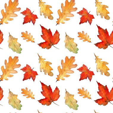 Suluboya sonbahar yaprakları