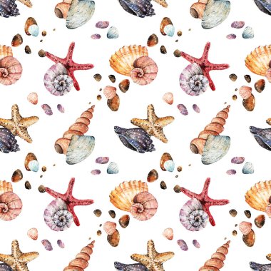 Sulu Boya güzel kabukları