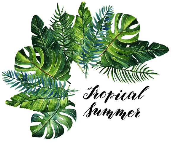 Tropikalnych lato akwarela, ilustracja. — Zdjęcie stockowe