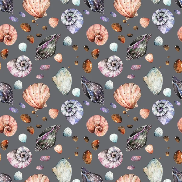 수채화 아름 다운 조개 — 스톡 사진