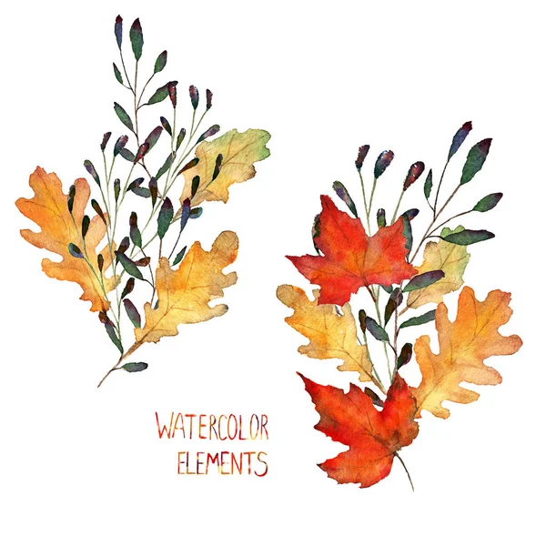 Acuarela hojas de otoño —  Fotos de Stock