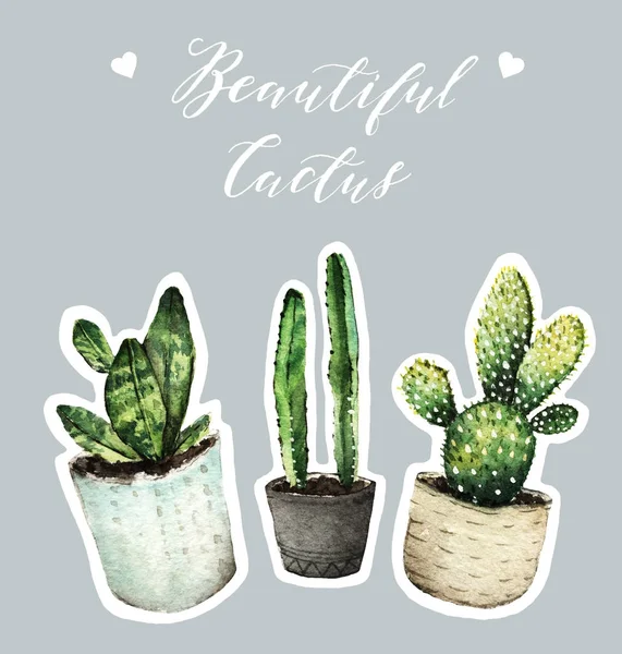 Cactus in pots, Watercolor illustration — Stock Photo, Image