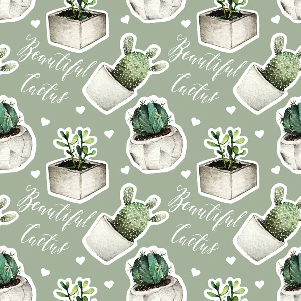 Cactus en pots, Aquarelle illustration — Photo