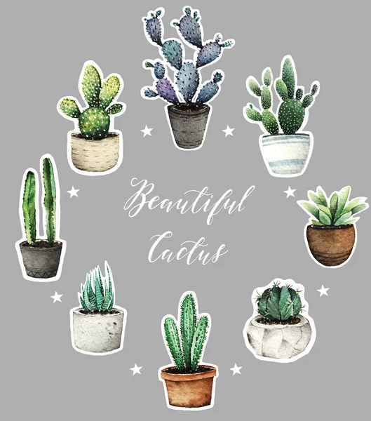 Kaktus v květináčích, akvarel, ilustrace — Stock fotografie