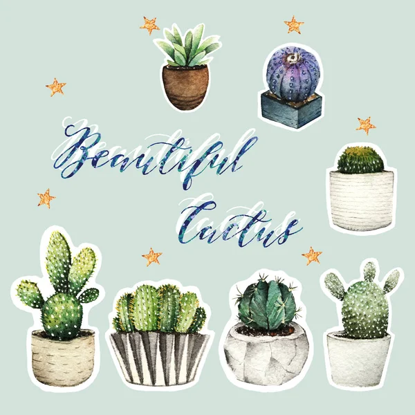 Cactus in pots, Watercolor illustration