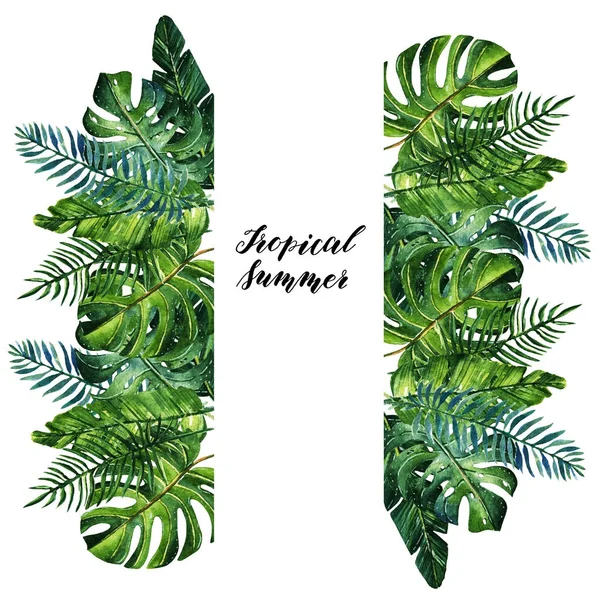 Tropical summer Watercolor illustration. — Stock Photo, Image