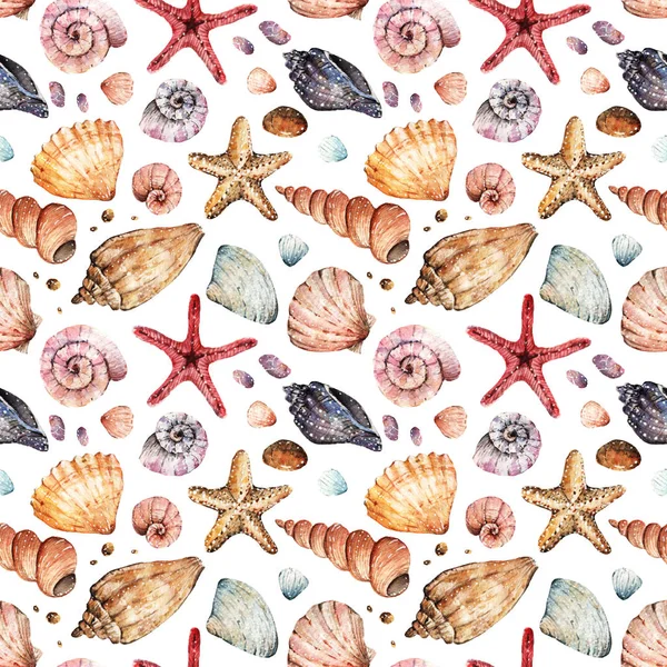 Acuarela Hermosas conchas marinas — Foto de Stock