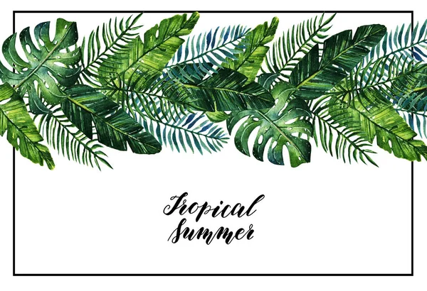 Tropikalnych lato akwarela, ilustracja. — Zdjęcie stockowe