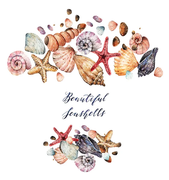 Akvarell Beautiful tengeri kagylókból — Stock Fotó