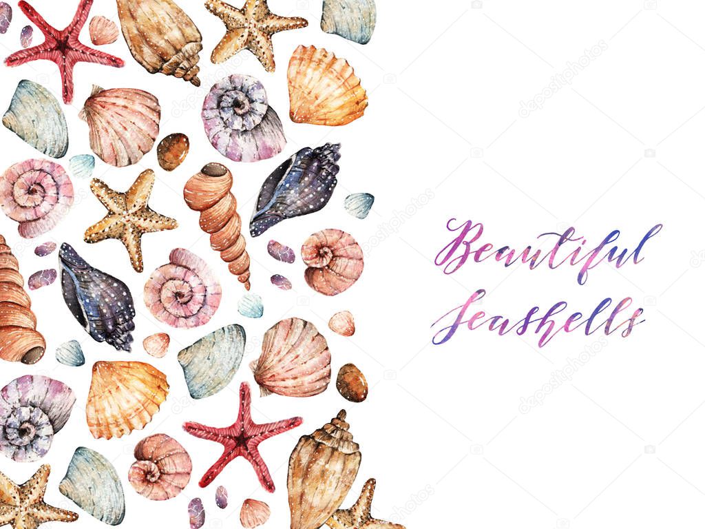 Watercolor  Beautiful seashells