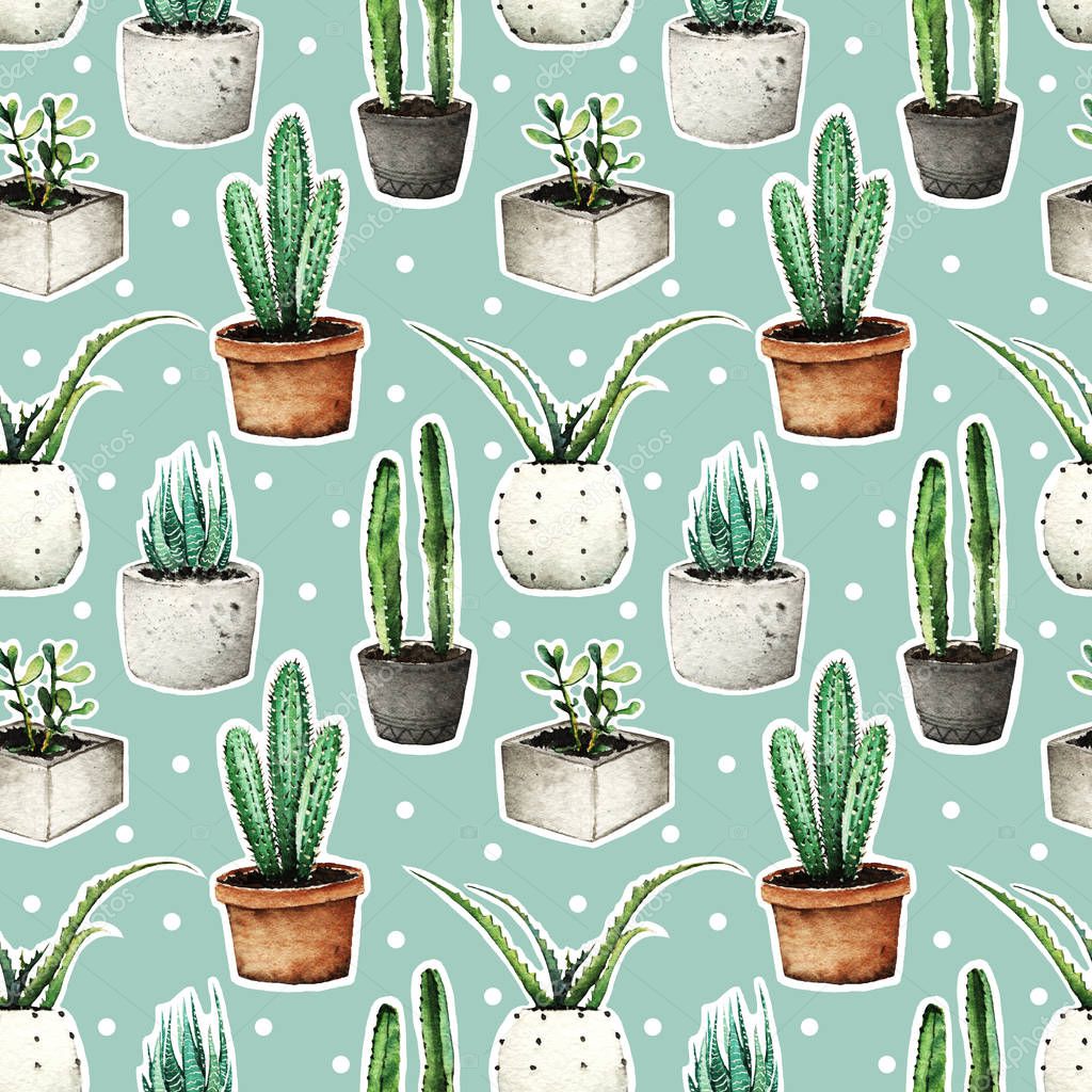Cactus in pots, Watercolor illustration