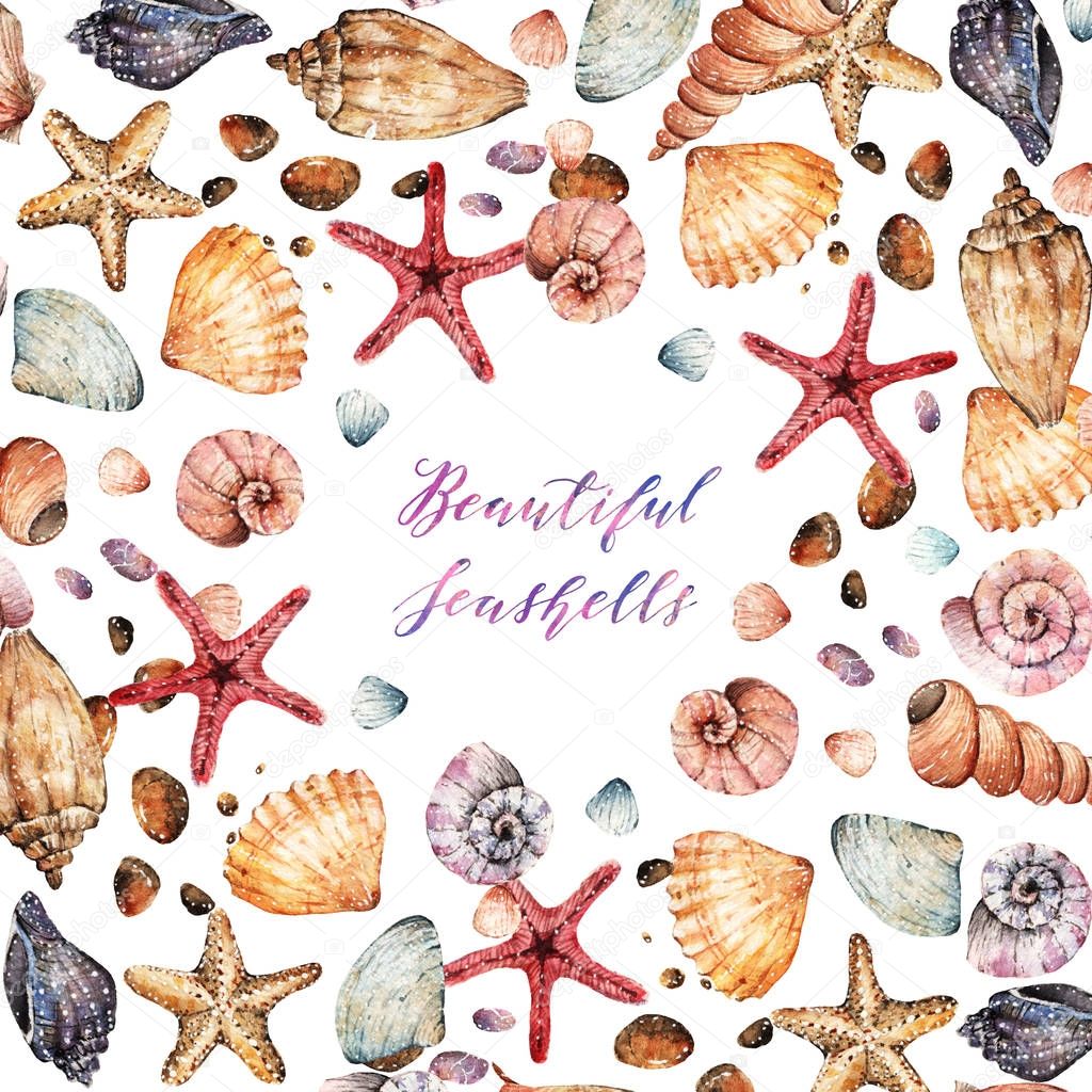 Watercolor  Beautiful seashells