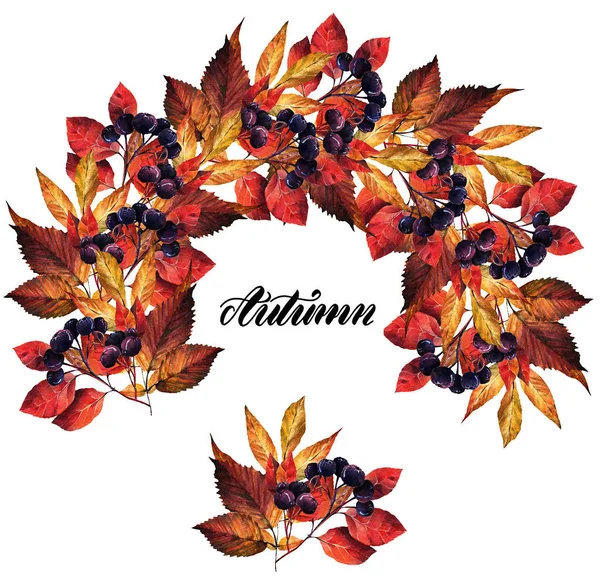 Акварель Autumn Chokeberry Elm Ash Leaves Set Postcard You Background — стоковое фото