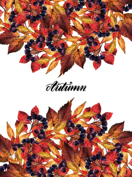 Illustration Aquarelle Automne Myrtille Orme Frêne Feuilles Set Postcard Pour — Photo