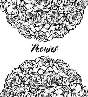 Vektör çizimi. Şakayıkların çiçek süslemesi. Kart sana. El yapımı, tişörtlerdeki parmak izleri, arka plan beyazı.