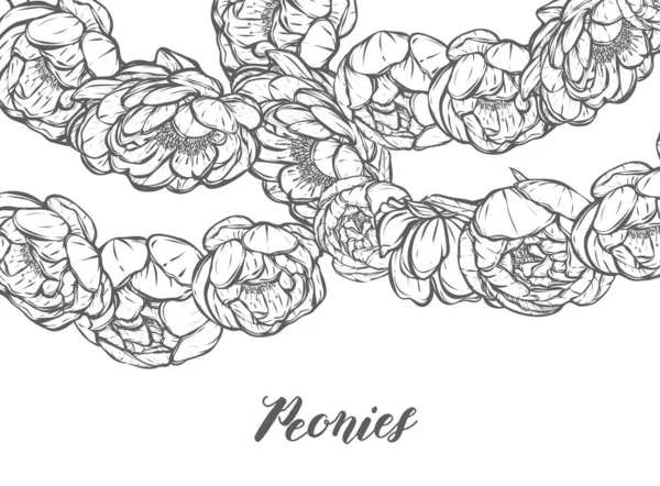 Illustrazione Vettoriale Decorazione Floreale Peonie Realizzato Mano Stampe Magliette Sfondo — Vettoriale Stock