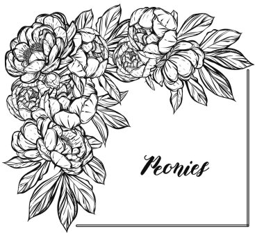 Vektör çizimi. Şakayıkların çiçek süslemesi. Tişörtlerdeki parmak izleri, senin için bir kart. arkaplan beyazı. El yapımı