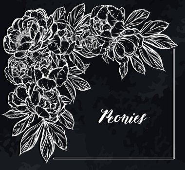 Vektör çizimi. Şakayıkların çiçek süslemesi. Tişörtlerdeki parmak izleri, senin için bir kart. arkaplan tahtası. El yapımı.