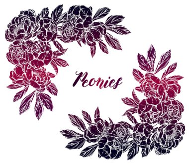 Vektör çizimi. Şakayıkların çiçek süslemesi. Tişörtlerdeki parmak izleri. arka plan beyazı. El yapımı, sizin için kart, mor mavi renk.