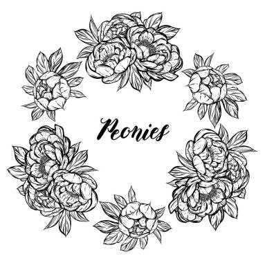 Vektör çizimi. Şakayıkların çiçek süslemesi. Tişörtlerdeki parmak izleri, çelenk. El yapımı, senin için kart. arkaplan beyaz