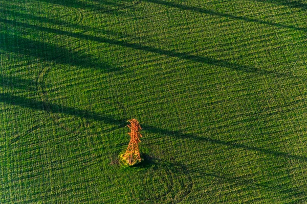 Torre electic vermelha solitária no campo verde no por do sol — Fotografia de Stock
