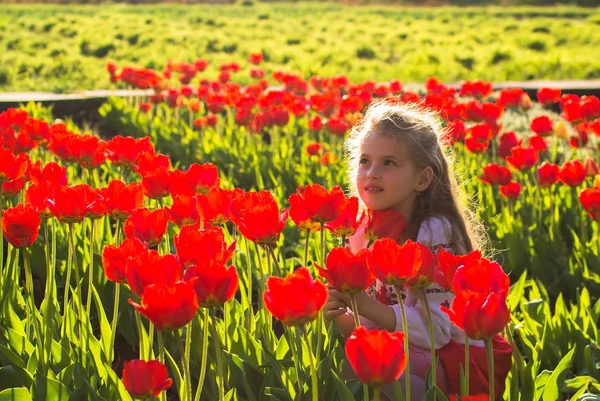 Menina no meio da plantação de flores e floresta de bétula — Fotografia de Stock