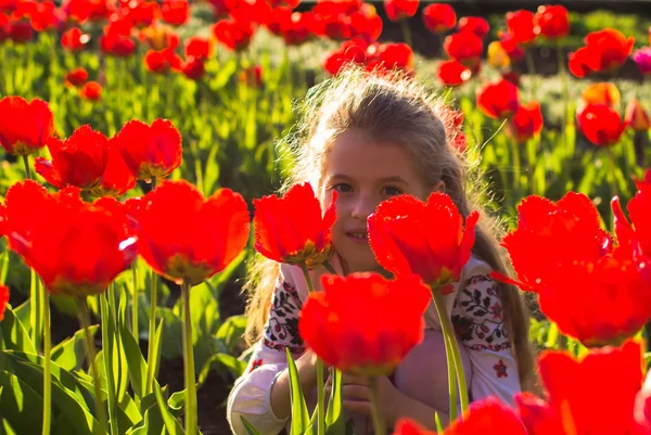 Menina no meio da plantação de flores e floresta de bétula — Fotografia de Stock