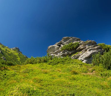 Karpatlar doğa, turistik parkur
