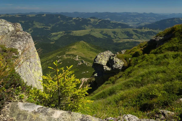 Karpatlar doğa, turistik parkur