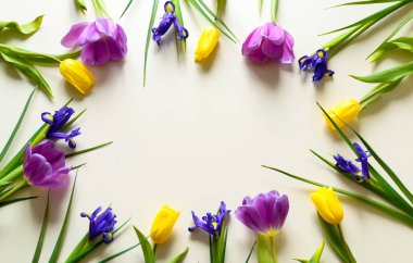 Beyaz zemin üzerine lale buketi çiçek