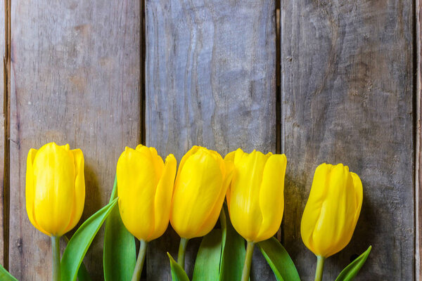 Цветочный букет тюльпанов на белом фоне
