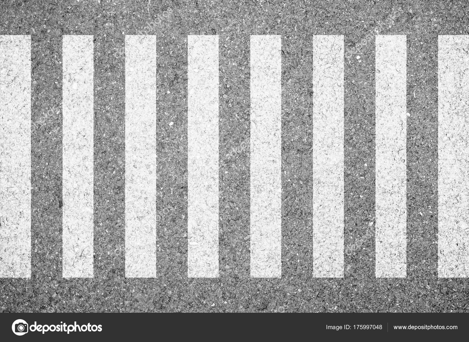 Zebra Crosswalk Road Safety People Walking Cross Street Stock Photo by