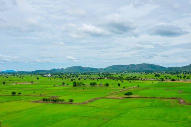 Tayland pirinç çiftlik vazo alanı. Dağda çok geri ve bulutlu gökyüzü.