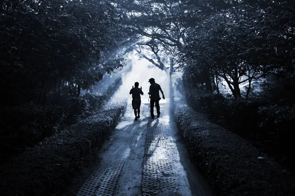 Silhouette two people walking and talking on the path through the forest as friends like they are walking to the paradise. Black and white monotone filter.