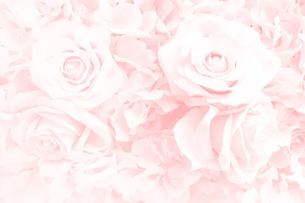 Мягкий фокус роз цветок на сладкий розовый цвет — стоковое фото