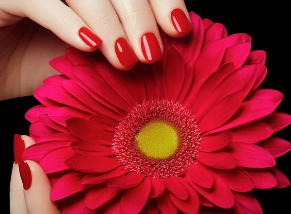 Salón de belleza. Manos delicadas con manicura sosteniendo flor rosa — Foto de Stock