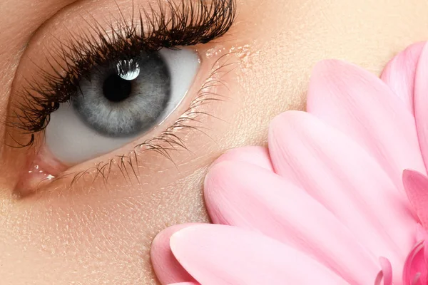 Trucco di bellezza. Bella donna occhio con fiore fresco, spa — Foto Stock