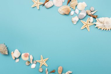 Mavi arkaplanda çeşitli kabukların çerçevesi