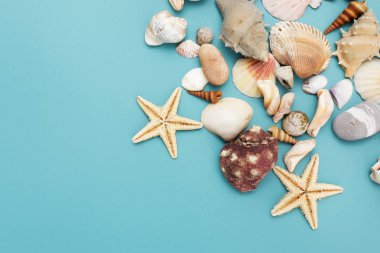 Mavi arkaplanda çeşitli kabukların çerçevesi