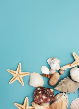 Mavi arkaplanda çeşitli kabukların çerçevesi