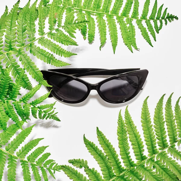 Flat lag. Bovenaanzicht. Stijlvolle zonnebril onder fern bladeren — Stockfoto