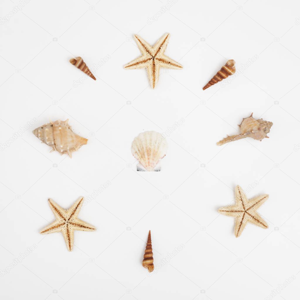 Flat lay of shells on a blue wooden background