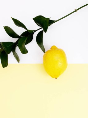 Pop art. Minimalist sanat. Moda göz alıcı narenciye ruh hali. En az Stillife