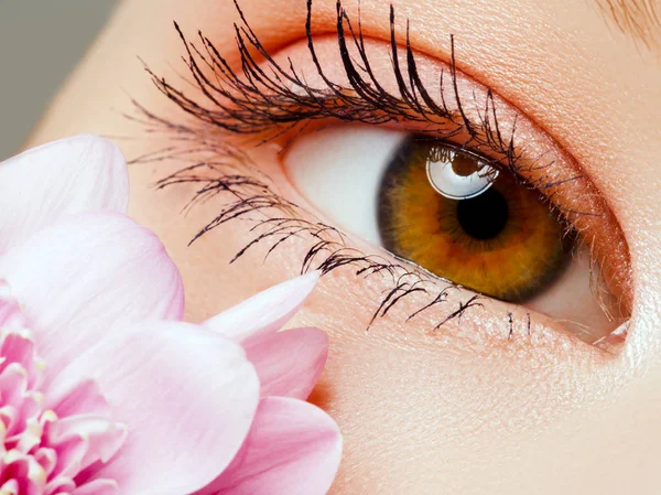 Mooie macro-opname van vrouwelijke oog met extreem lange wimpers. Make-up van de perfecte vorm en lange wimpers. Cosmetica en make-up. Close-up macro-opname van fashion ogen visage — Stockfoto