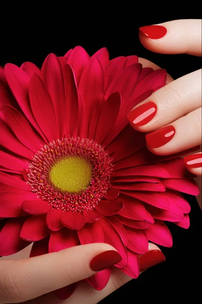 Beleza mãos delicadas com manicure segurando flor rosa de perto. Belos pregos e flor close-up, ótima ideia para a publicidade de cosméticos . — Fotografia de Stock