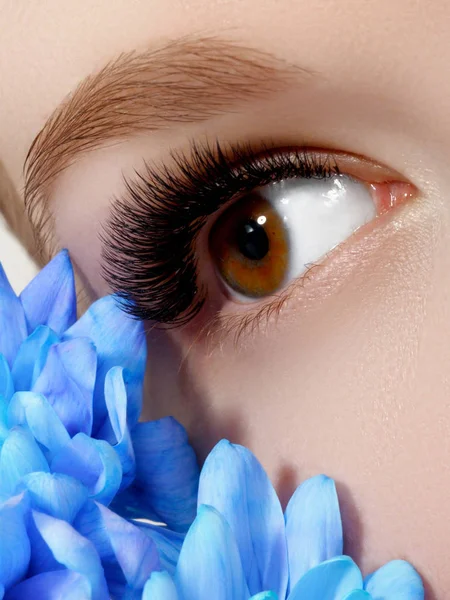 Schöne Makroaufnahme des weiblichen Auges mit klassisch sauberem Make-up. perfekte Form der Augenbrauen und extrem lange Wimpern. Kosmetik und Make-up. Nahaufnahme Makroaufnahme der Mode natürliche Augen Make-up — Stockfoto