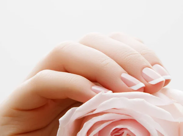 软选择焦点。美容指甲护理。精致的手与法国指甲抱着粉红色的花瓣关闭在花卉背景。美丽的指甲特写, 化妆品广告的伟大创意 — 图库照片